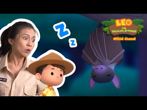 Witness21  2022 10 01