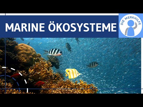 Marine Ökosysteme - Nutzung, Fischfang, Rohstoffe, Energie & Folgen der anthropogenen Einflüsse