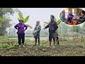 Bao S Mother Helped Her Adopted Daughter Buy A Piece Of Land To Build A House