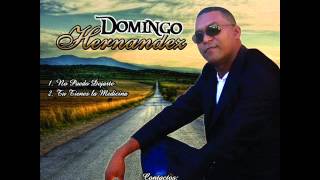 DOMINGO HERNANDEZ