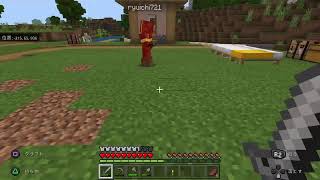 諸君、マイクラの時間だ！［PS4］