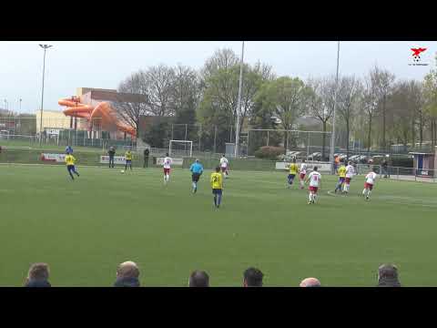 Blauw Geel '55 - s.v. de Valleivogels