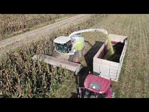 Domai MPD 612 Forager Head