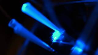 Jongyoon Han RLE Investigator Profile