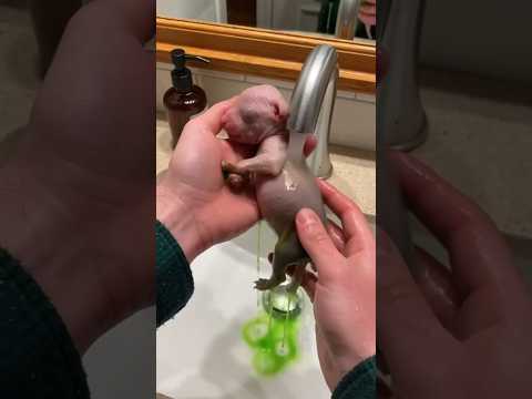 He adopted a colored puppy after witnessing this