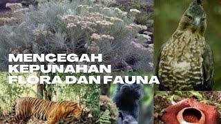 Download lagu 10 Cara Mencegah Kepunahan Hewan dan Tumbuhan mp3