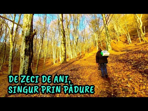 Satul Tisa, colțul de rai pe care Ceaușescu l-a vrut doar pentru el! Are chiar și heliport!