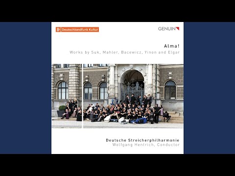 Concerto for String Orchestra: I. Allegro