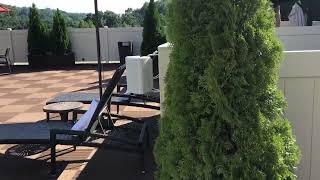 Oassis day spa