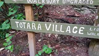 1884 LIME KILNS WARKWORTH NZ