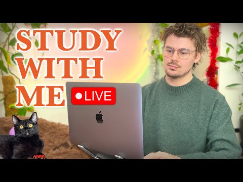 Study With Me LIVE 🚀 10-HOURS — Deep Focus (50/10 Pomodoro) | Cozy UK Rain, No Distractions!