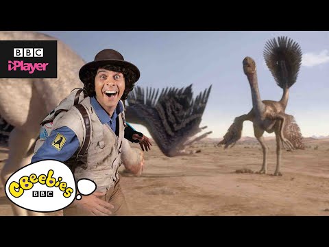 安迪的5大揹包的發現｜CBeebies (Andy's Top 5 Backpack Finds | CBeebies)