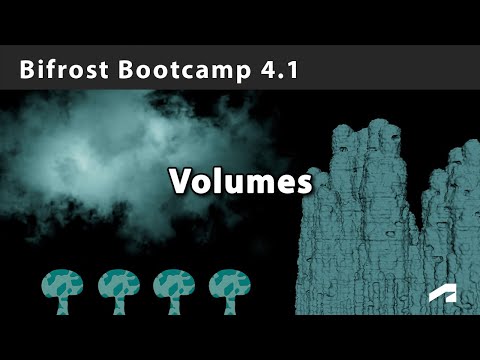 Bifrost Bootcamp 4.1 - All about volumes