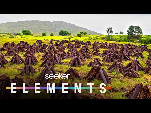 This Forgotten Ecosystem Holds Twice as Much Carbon Than Forests