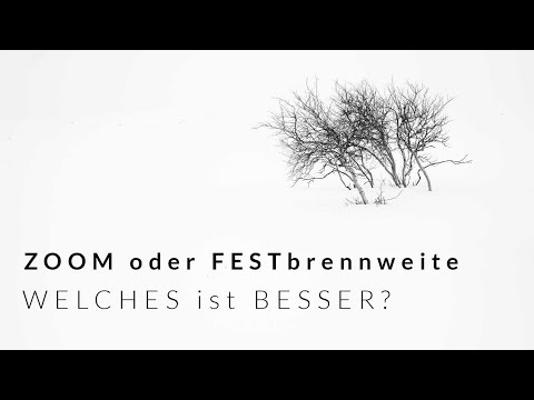 Festbrennweiten oder Zoom-Objektive: Welche sind besser!
