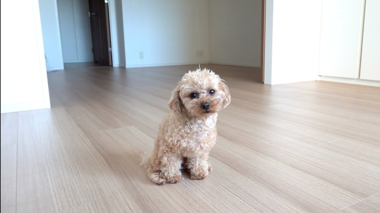 お別れしてきました。