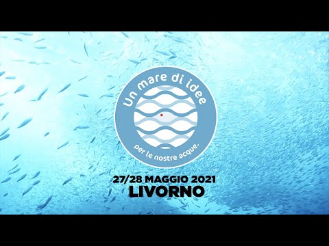 Anteprima video