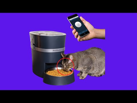 Before You Buy PetSafe Smart Feed Automatic Pet Feeder for Cat and Dogs