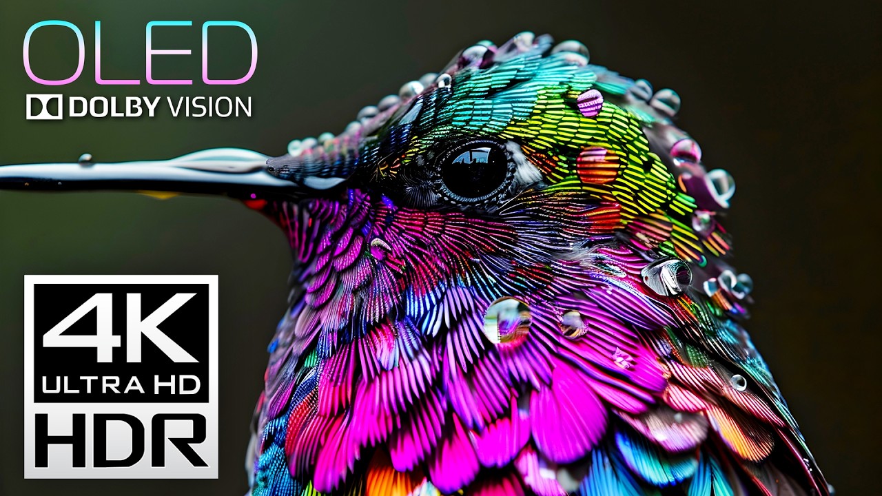 Best of Dolby Vision 4K HDR 120fps Video (8K/4K TV)
