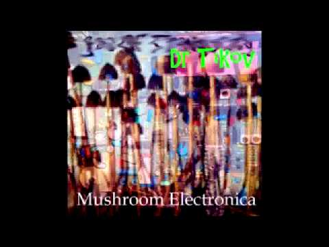 Dr Tikov - Top of the mountain (album Mushroom Electronica)