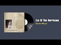 Eye Of The Hurricane - David Wilcox (1989)
