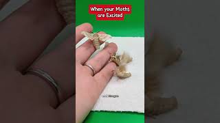 If only they would sit still #moths #storytime