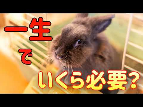 ウサギの飼育原理