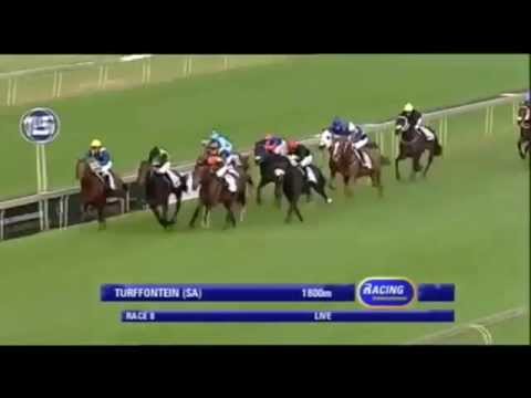 2014 South Africa Classic - Louis The King