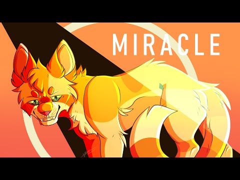 [OPEN] Miracle ANYTHING MAP