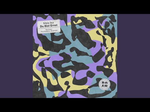 Du Bist Ernst (Phunkadelica Remix)