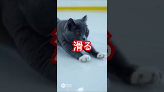 ストライク#cat #funny