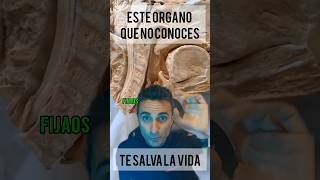 Este órgano que no conoces , te salva la vida.#supervivencia #curiosidades #emergencia