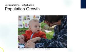 PEDx | Environmental Science 006 - Environmental Perturbation