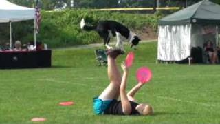 preview picture of video 'K9 Flying Disc competition at Millersville University'