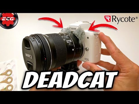 Deadcat Rycote para Canon EOS M50
