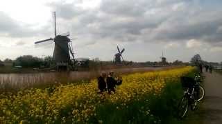 Kinderdijk