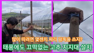 태풍에도 끄떡없는 고추 지지대설치 방법~고추 지지대 만들기,고추말뚝 귀농귀촌 전원일기 주말농장 텃밭 농업,농…
