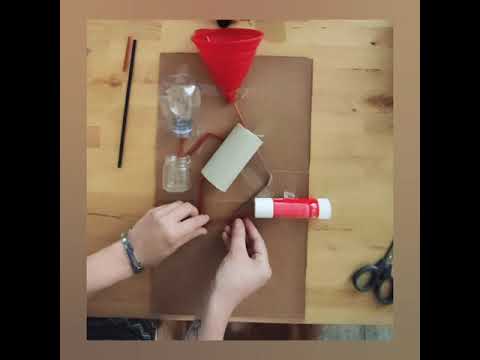 MAU - Impariamo il corpo umano n. 8 - L'apparato digerente