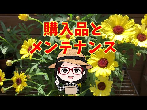 園芸 ヴリーセ・ポールマニイ