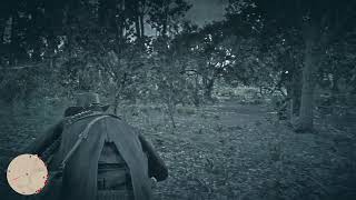 RDR2 5周目 #143