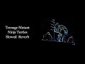 Teenage Mutant Ninja Turtles 1 Hour