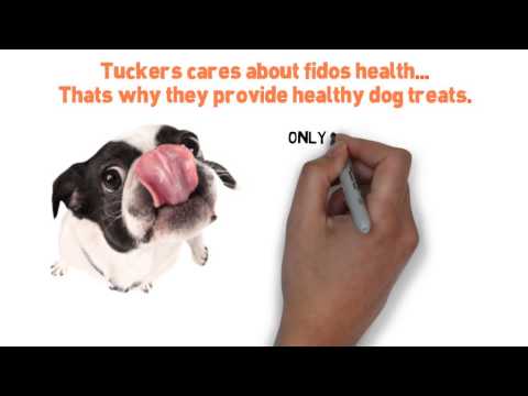 download lagu mp3 mp4 Dog Treats Made In Usa, download lagu Dog Treats Made In Usa gratis, unduh video klip Dog Treats Made In Usa