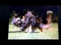 Shaine Barney Fire House Part 2