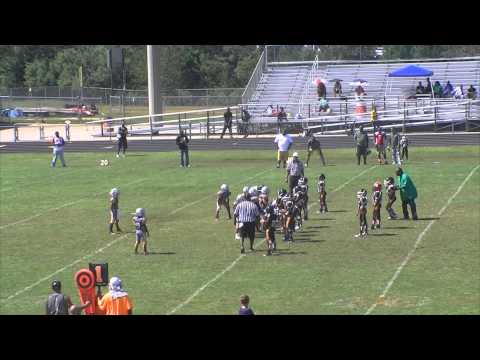 2014 8U Providence Vols vs University Rams Longhorns