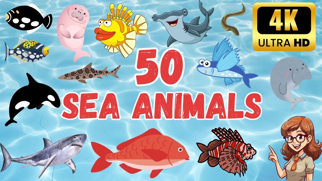 50 SEA ANIMALS for Toddlers | Aquatic Animals Names and Videos | English Vocabulary