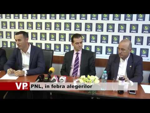 PNL, în febra alegerilor