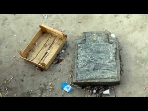 SOS piazza Cavour, tra disagio sociale e degrado urbano