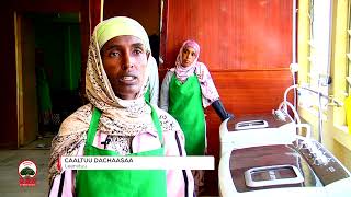 Download lagu Hojiifi Ogummaa || Kolleejjiin poolii teeknikaa madda  ogummaafi Qaroominaati mp3