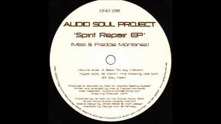 Audio Soul Project - Back To Joy (Original Mix)
