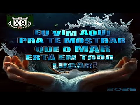 X9 Pioneira 2026 Samba CAMPEÃO